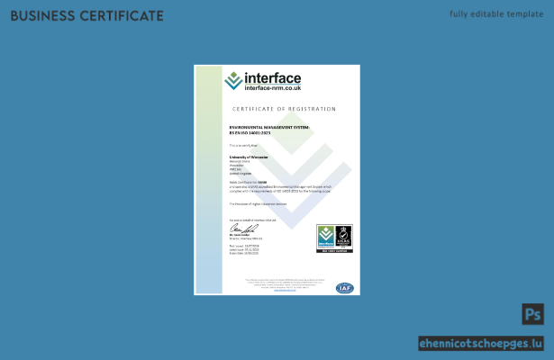 UK Interface-Registrierungszertifikat – Word- und PDF-Beispielvorschau